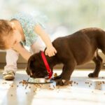 Dog growling at baby