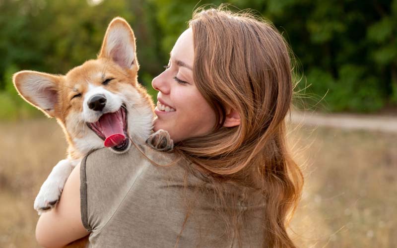 Canine body language