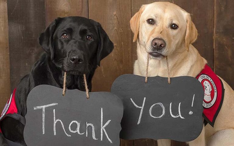 How do dogs say thank you